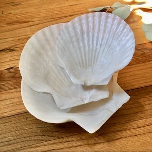 NWOT Set of 3 Real Irish Sea Shell Jewelry Trinket Decor Soap Dishes Bamboo Base
